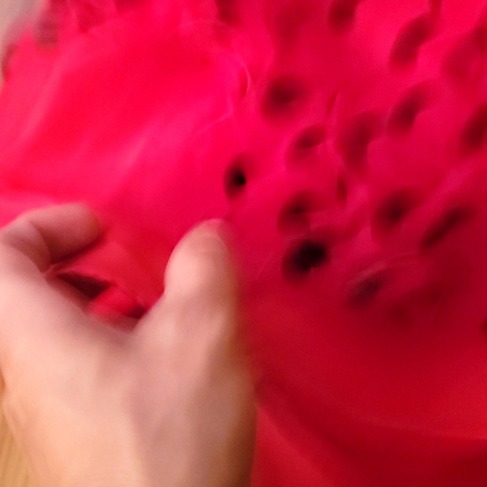 New no tags red dress with black velvet pokla dots  Sz 6 - Picture 9 of 10
